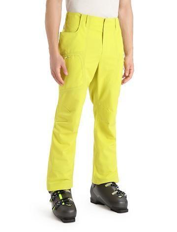 Men's Icebreaker Shell+™ Merino Pants Shine | CA 1835SGLO